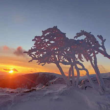 Les Champis - Bol D'air Hotel La Bresse