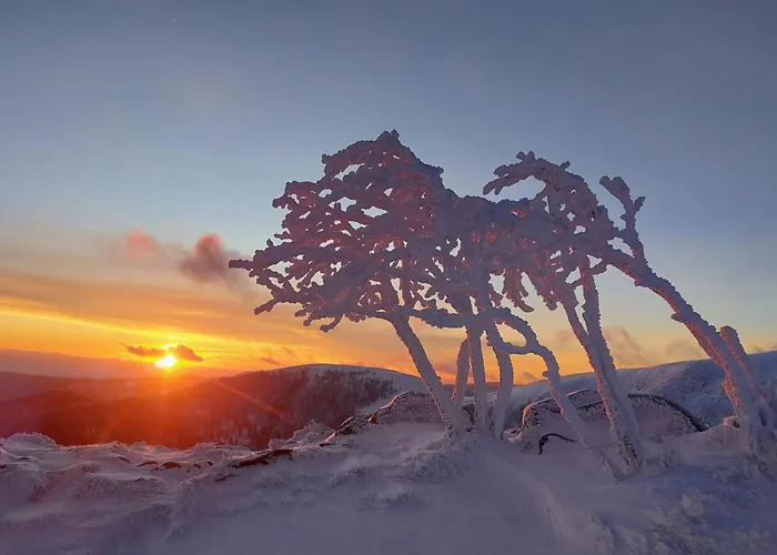 Les Champis - Bol D'air Hotel La Bresse